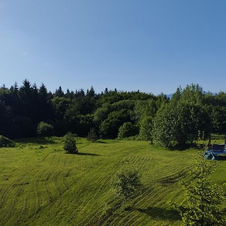 Chamkoria Chalets Borowec Zewnętrze zdjęcie