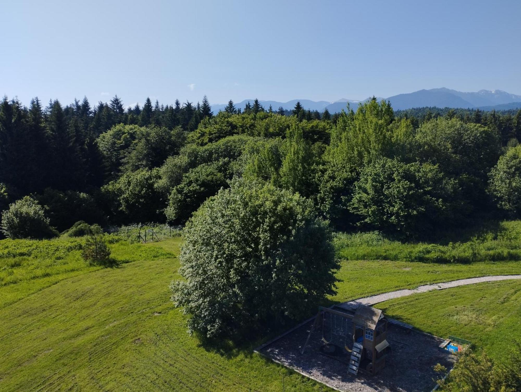 Chamkoria Chalets Borowec Zewnętrze zdjęcie