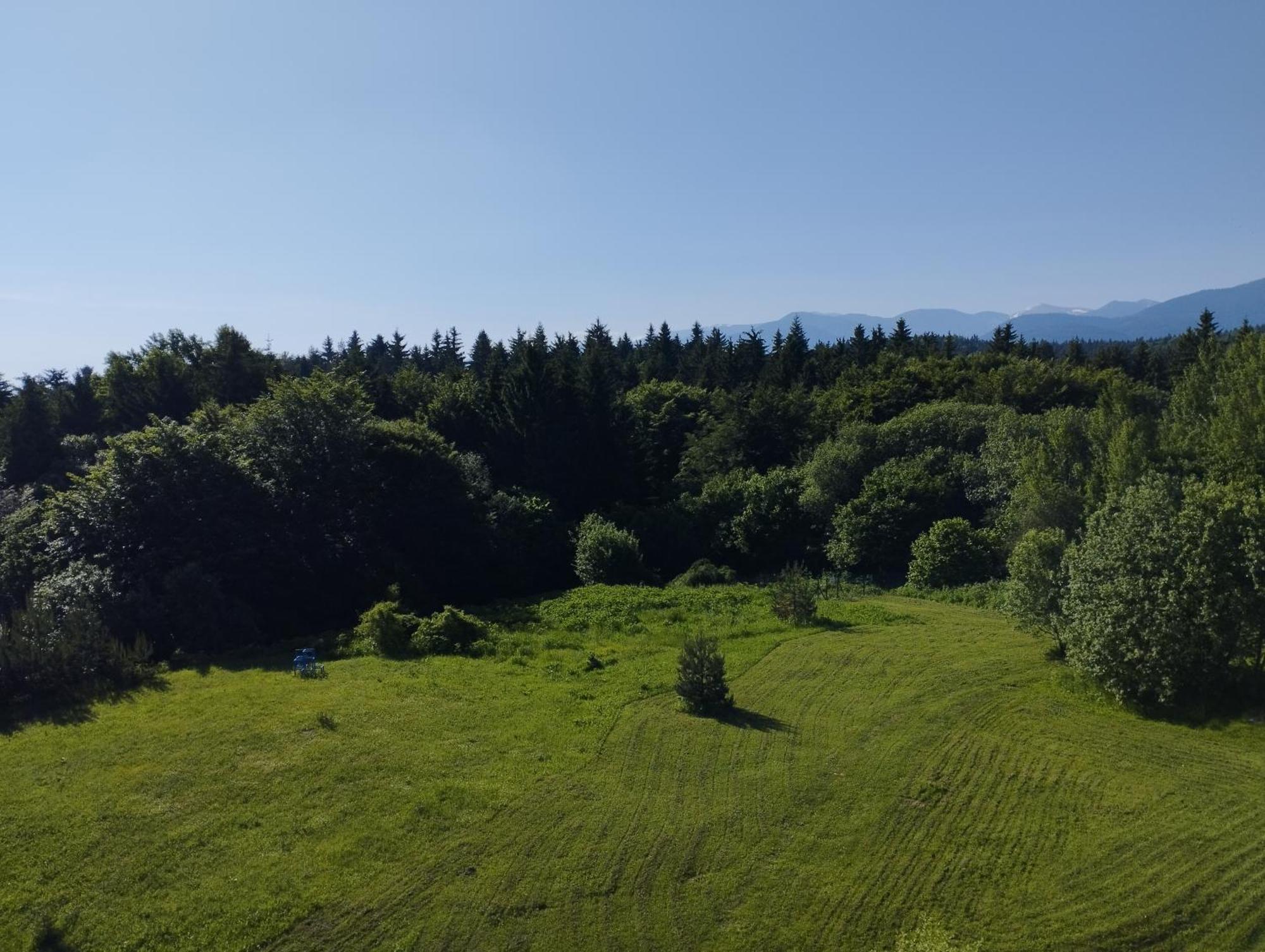 Chamkoria Chalets Borowec Zewnętrze zdjęcie